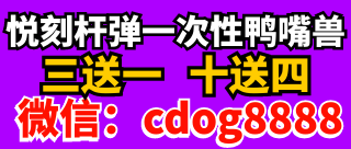 cdog8888