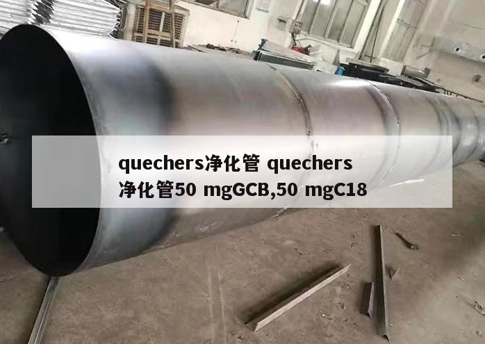 quechers净化管 quechers净化管50 mgGCB,50 mgC18